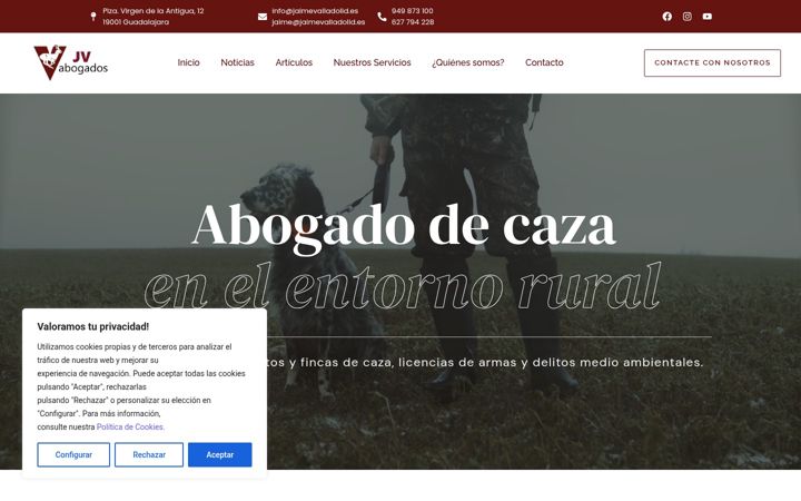 Screenshot of jaimevalladolid.es