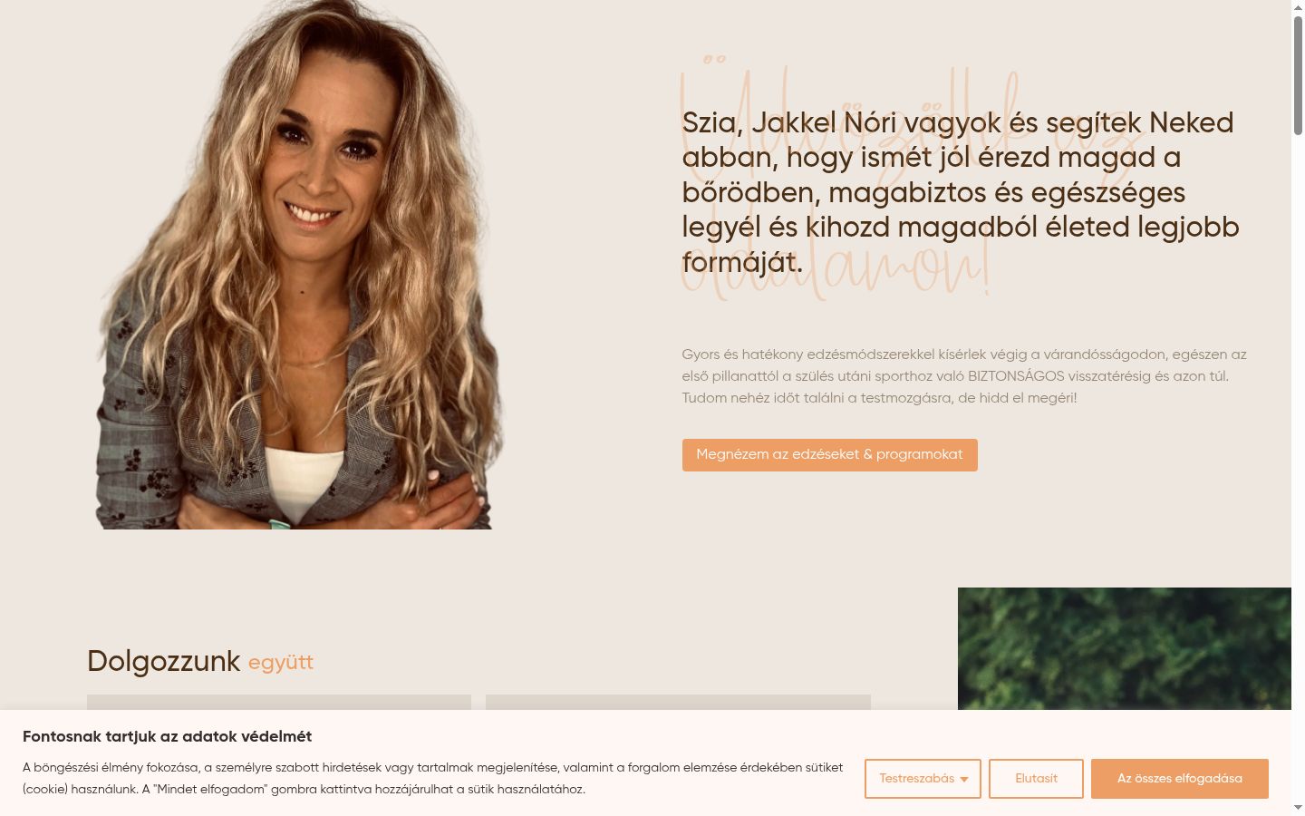 Screenshot van de toestemmingsbanner zoals getoond vóór enige interactie