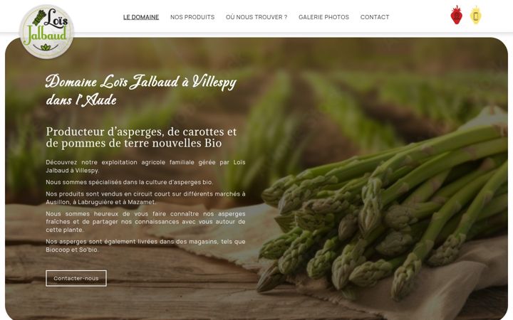 Screenshot of jalbaud-lois.fr