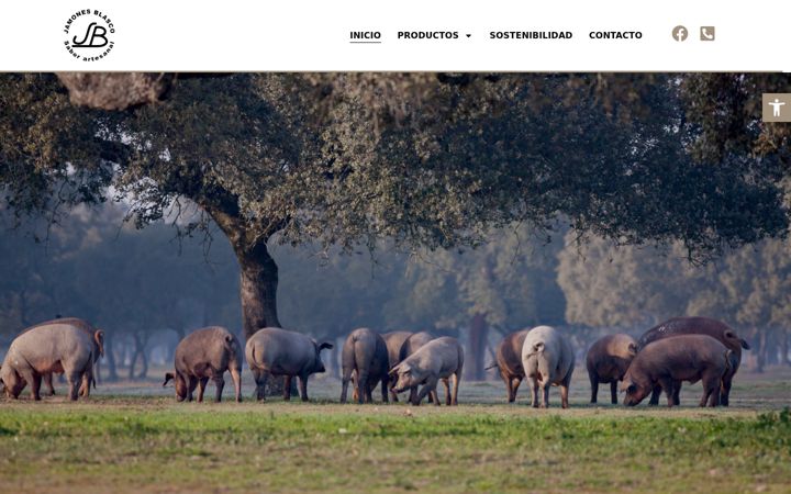Screenshot of jamonesblasco.es