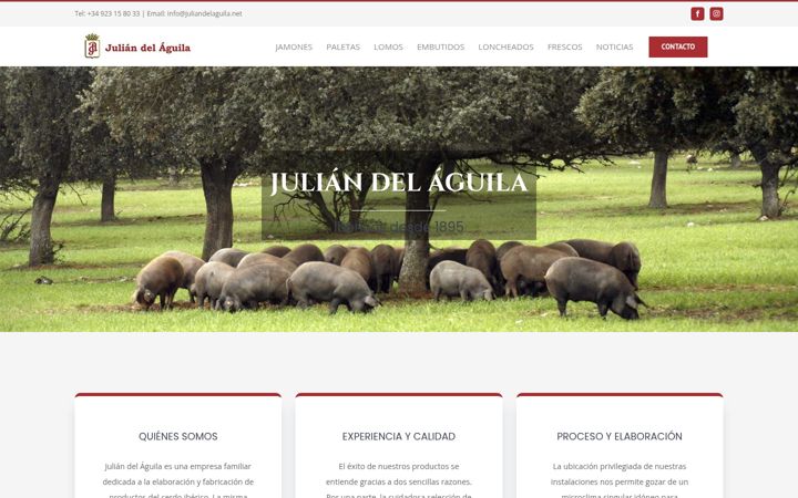 Screenshot of jamonesjuliandelaguila.com