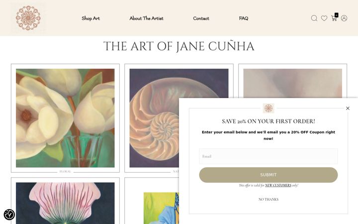 Screenshot of janecunha.com