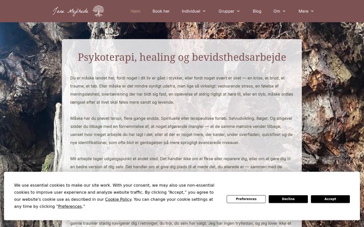 Screenshot of janemejlhede.com