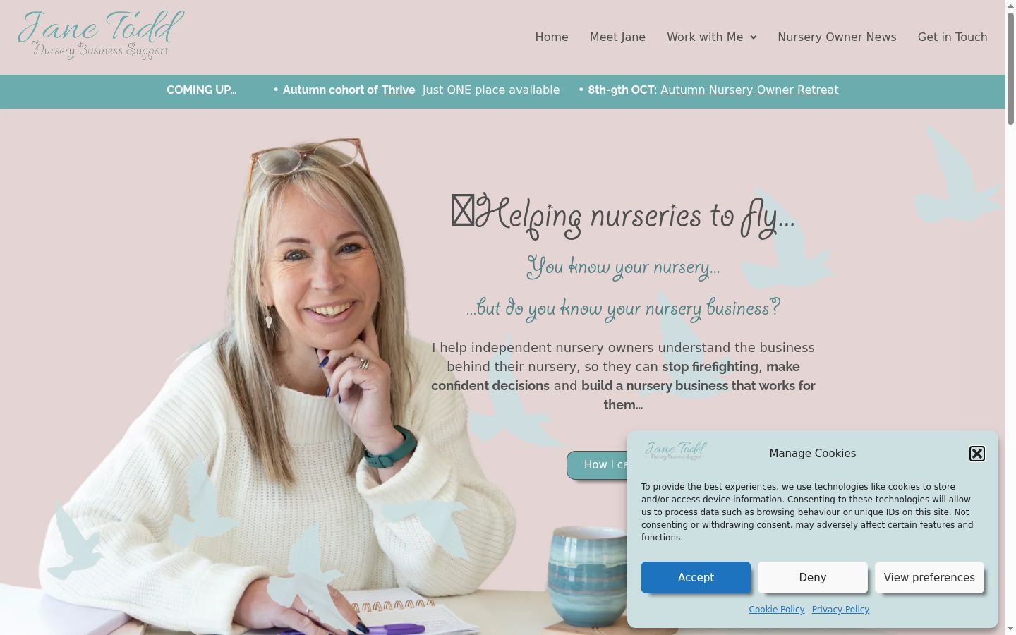 Screenshot of the consent banner shown before any interaction