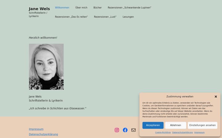 Screenshot of janewels.de