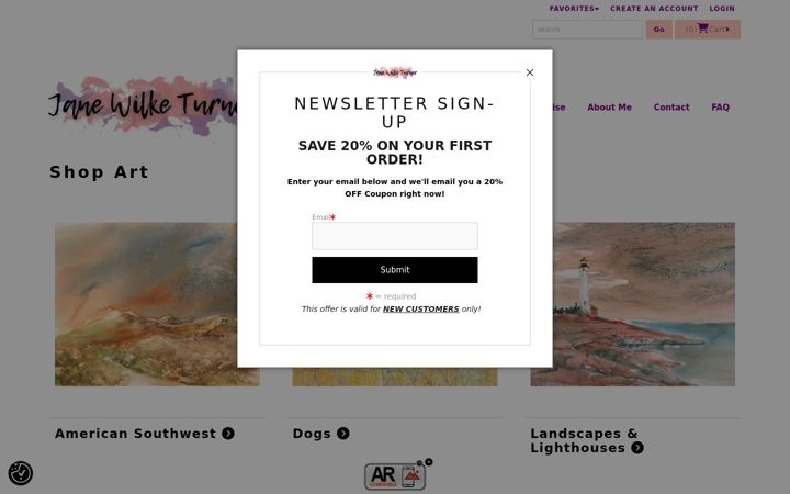 Screenshot of janewilketurner.com