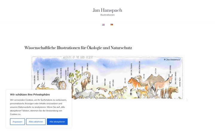 Screenshot of janhanspach.com