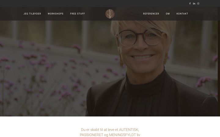 Screenshot of janiedylsing.dk