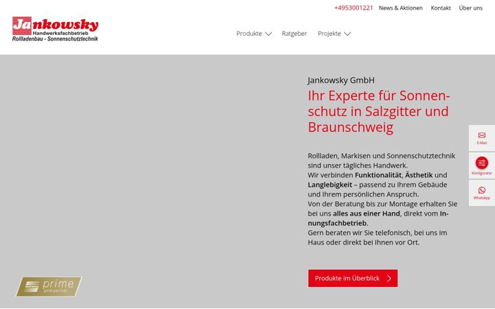 Screenshot of jankowsky.de