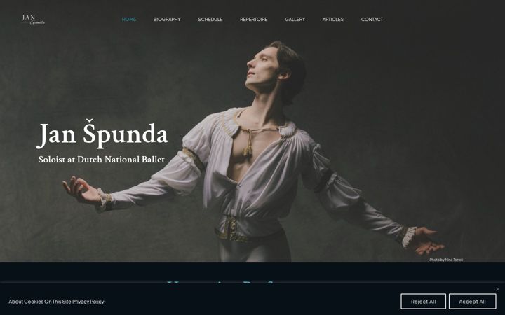 Screenshot of janspunda.com