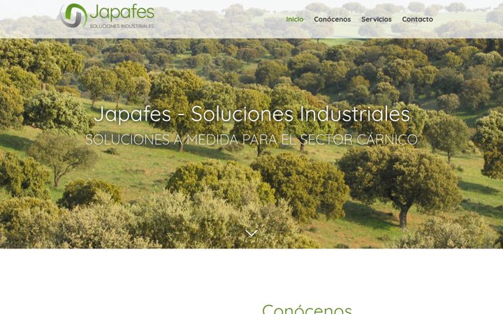 Screenshot of japafes.es