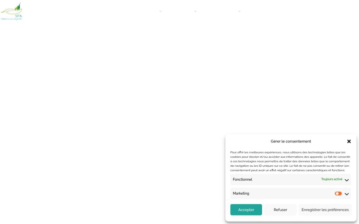 Screenshot of jardispa.fr
