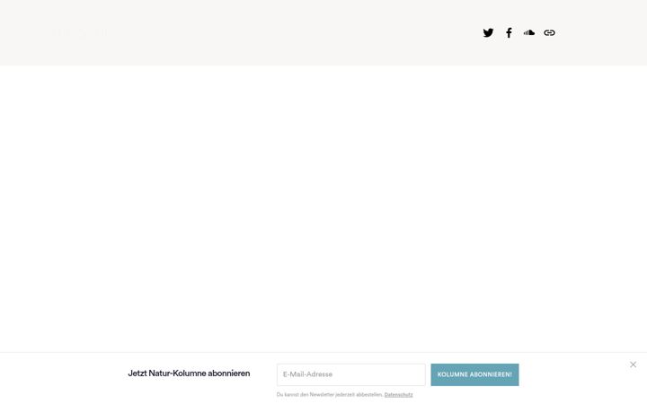 Screenshot of jasmin-schreiber.de