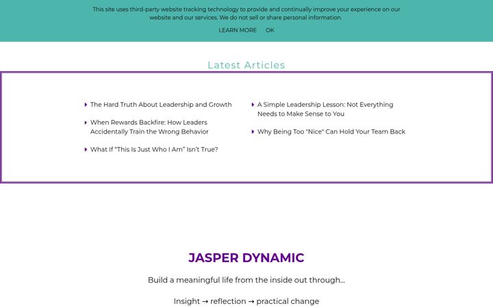 Screenshot of jasperdynamic.com