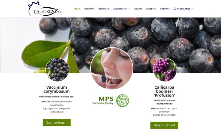 Screenshot of jastreng.nl