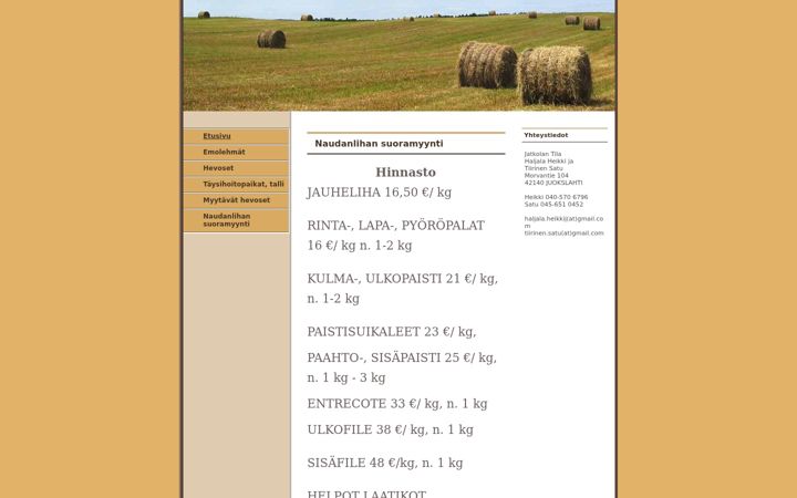 Screenshot of jatkolantila.net