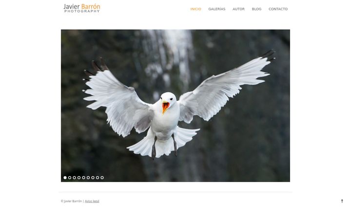 Screenshot of javierbarron.com