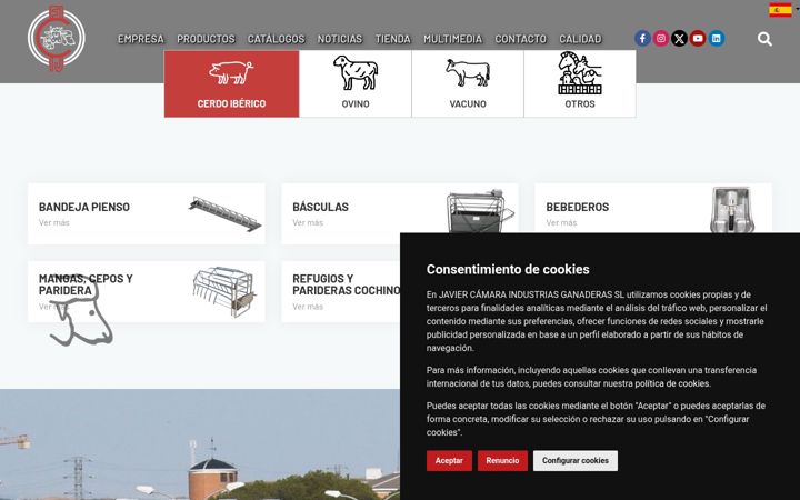 Screenshot of javiercamara.es