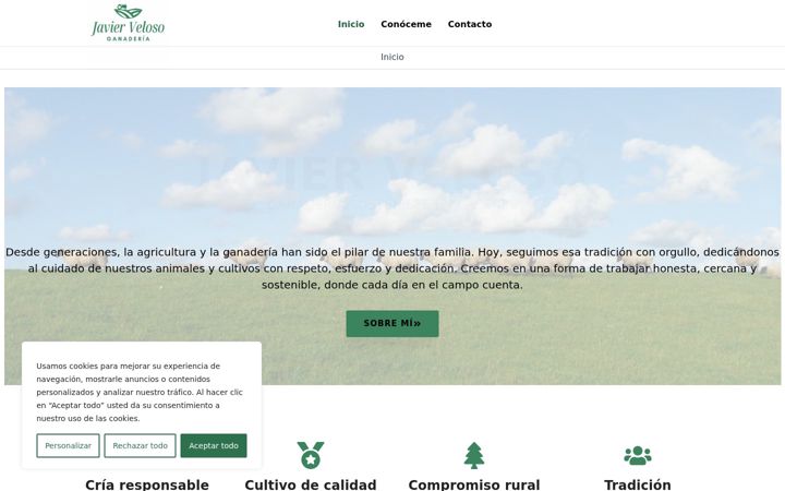 Screenshot of javierveloso.com