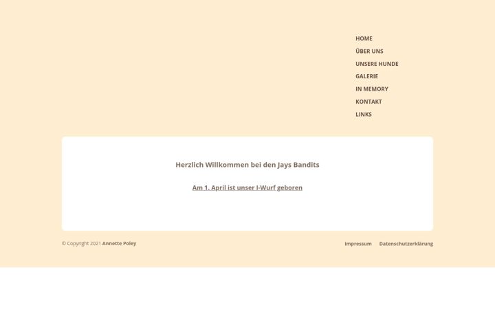 Screenshot of jays-bandits.de