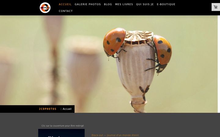 Screenshot of jcdphotos.fr