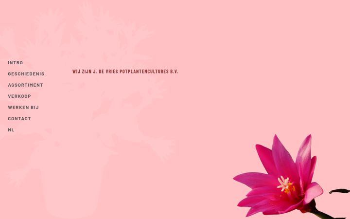 Screenshot of jdevries.nl