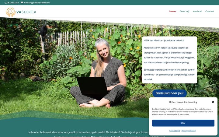Screenshot of je-ideale-sidekick.nl