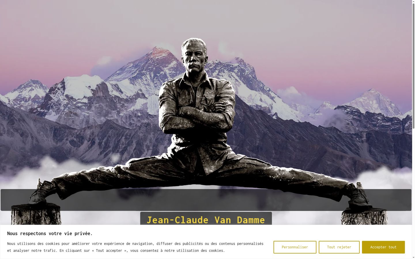 Screenshot van de toestemmingsbanner zoals getoond vóór enige interactie