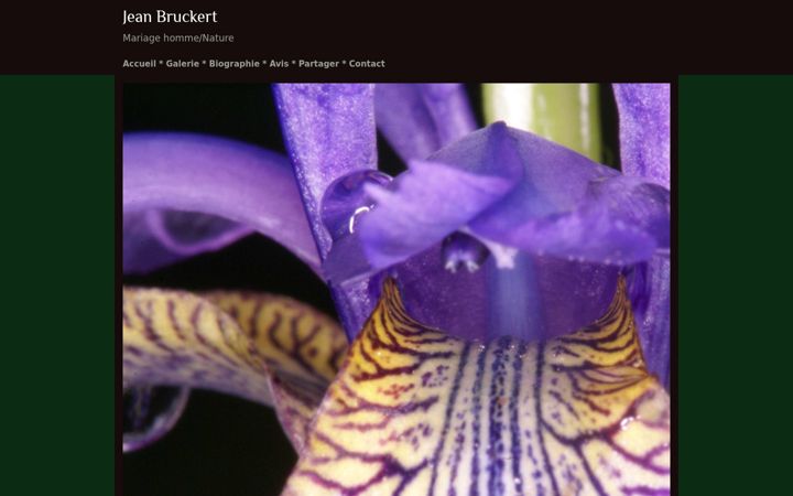 Screenshot of jeanbruckert.com