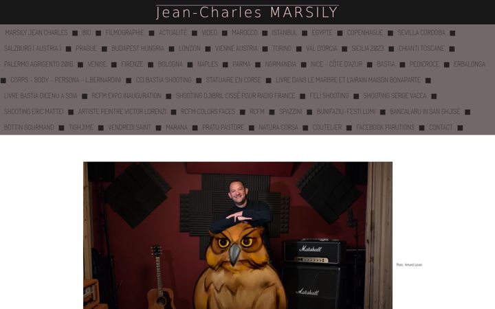Screenshot of jeancharlesmarsily.com