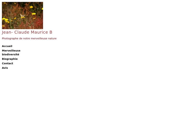 Screenshot of jeanclaudemauriceb.com