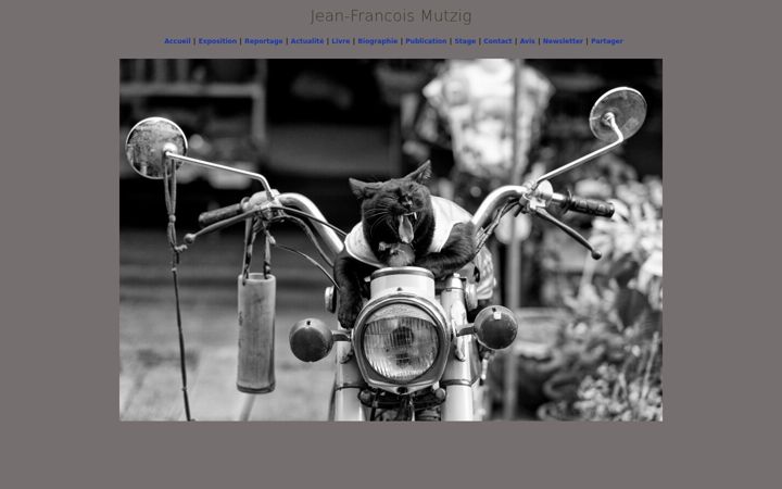 Screenshot of jeanfrancoismutzig.com