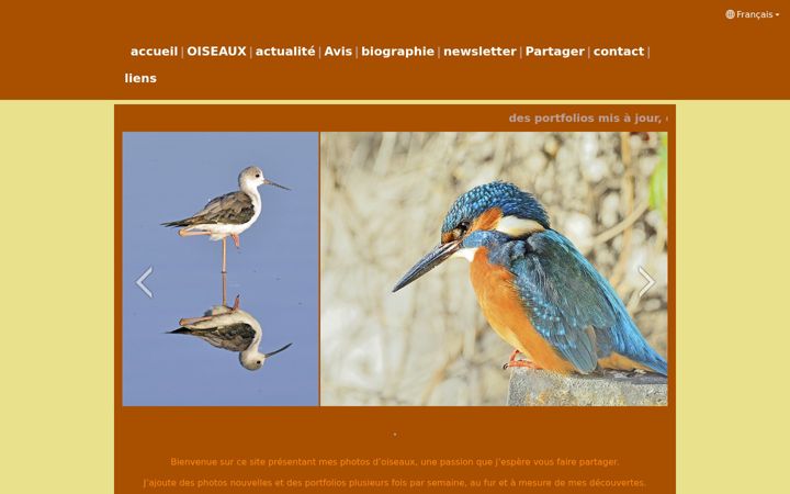 Screenshot of jeanlouis-pujol.com