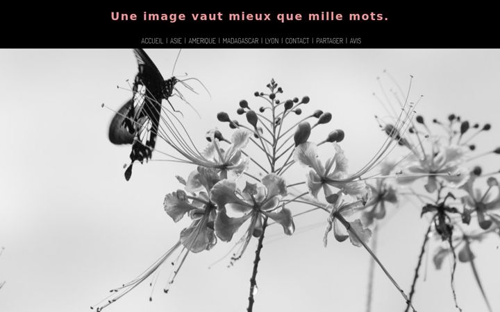 Screenshot of jeanmichelhuaux.com