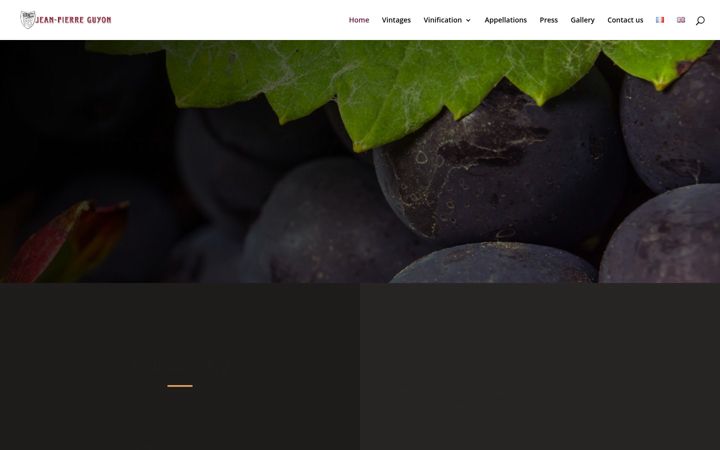 Screenshot of jeanpierreguyon.com
