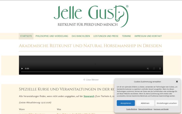 Screenshot of jelle-gust.de