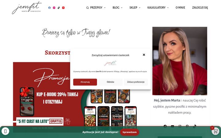 Screenshot of jemfit.pl