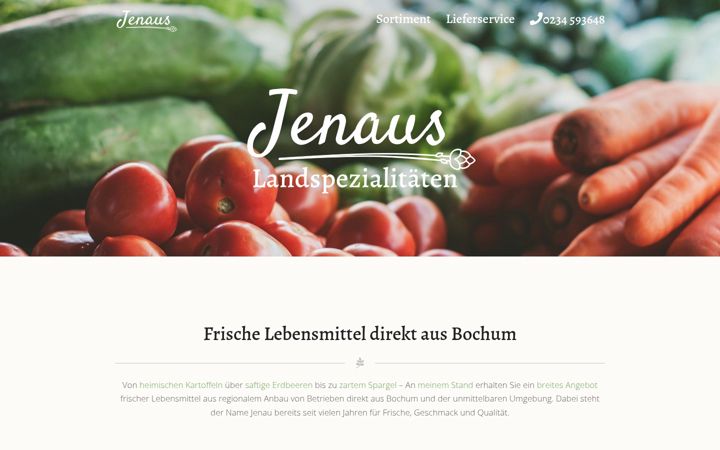 Screenshot of jenaus.de