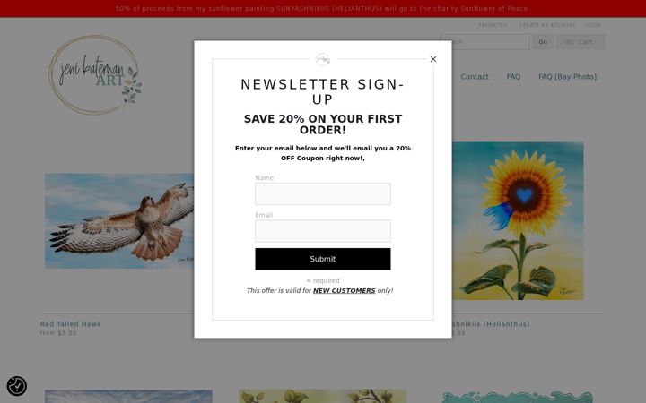 Screenshot of jenibatemanart.com