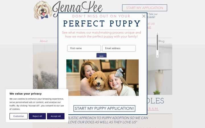 Screenshot of jennaleedoodles.com