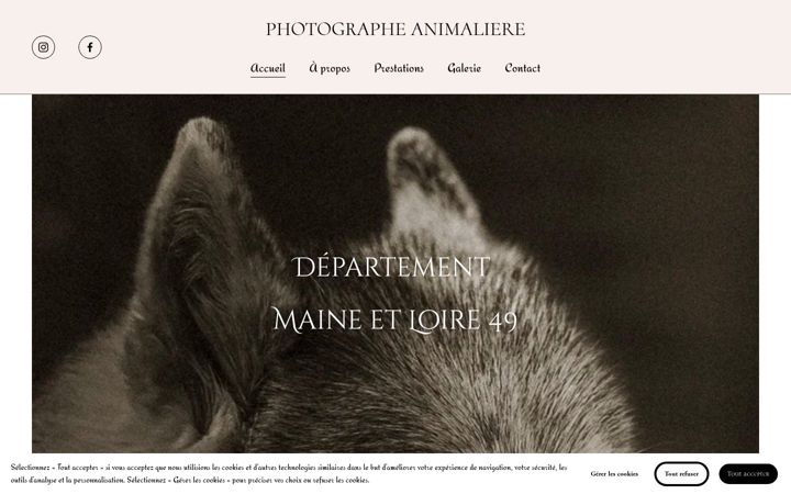 Screenshot of jennamildange.com