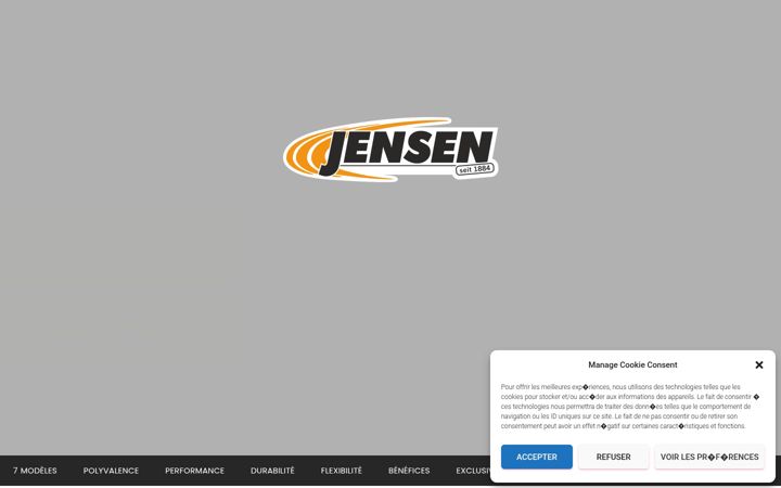 Screenshot of jensen-france.fr