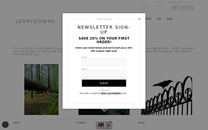 Screenshot of jerrydowns.com