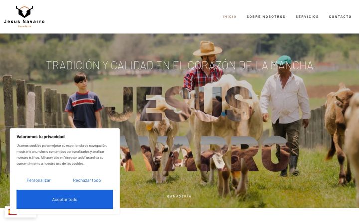 Screenshot of jesusnavarro.es