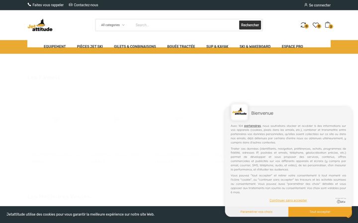 Screenshot of jetattitude.com