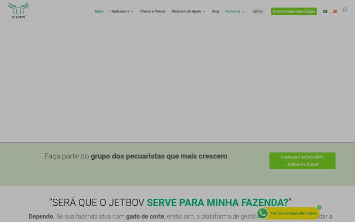 Screenshot of jetbov.com.br