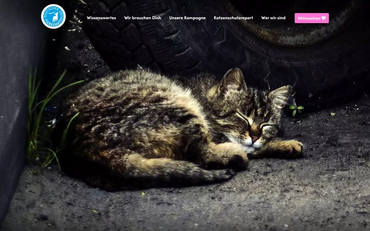Screenshot of jetzt-katzen-helfen.de