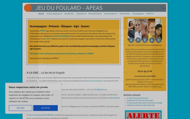 Screenshot of jeudufoulard.com