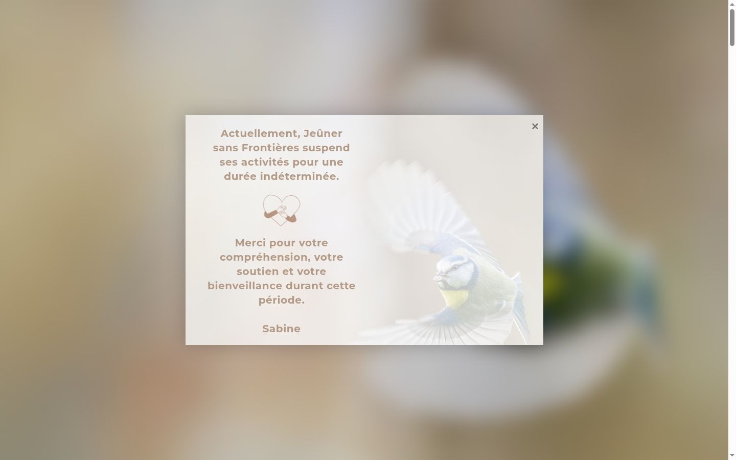 Snímek obrazovky baneru souhlasu zobrazeného před jakoukoli interakcí