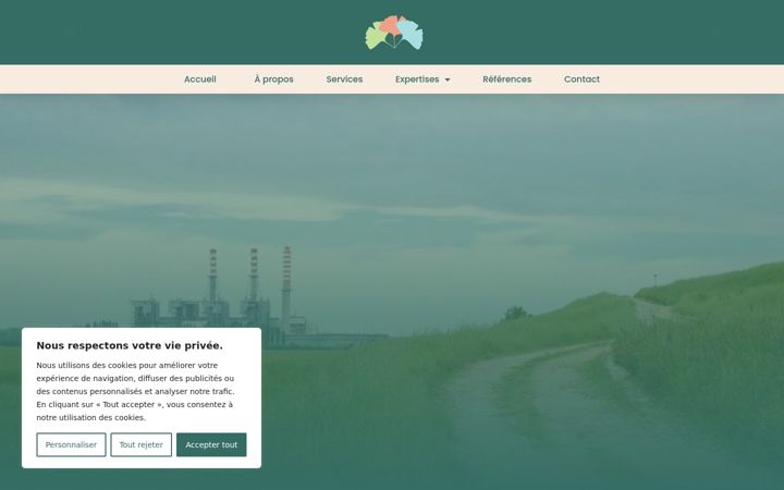 Screenshot of jinkgo.com